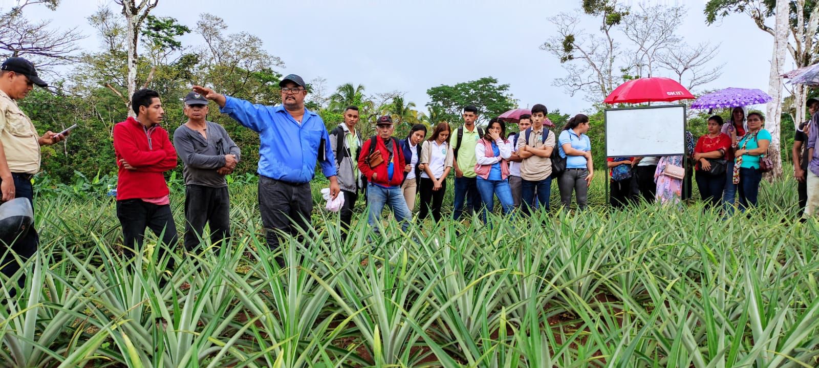 Recorrido en la Finca de tecnología agropecuaria